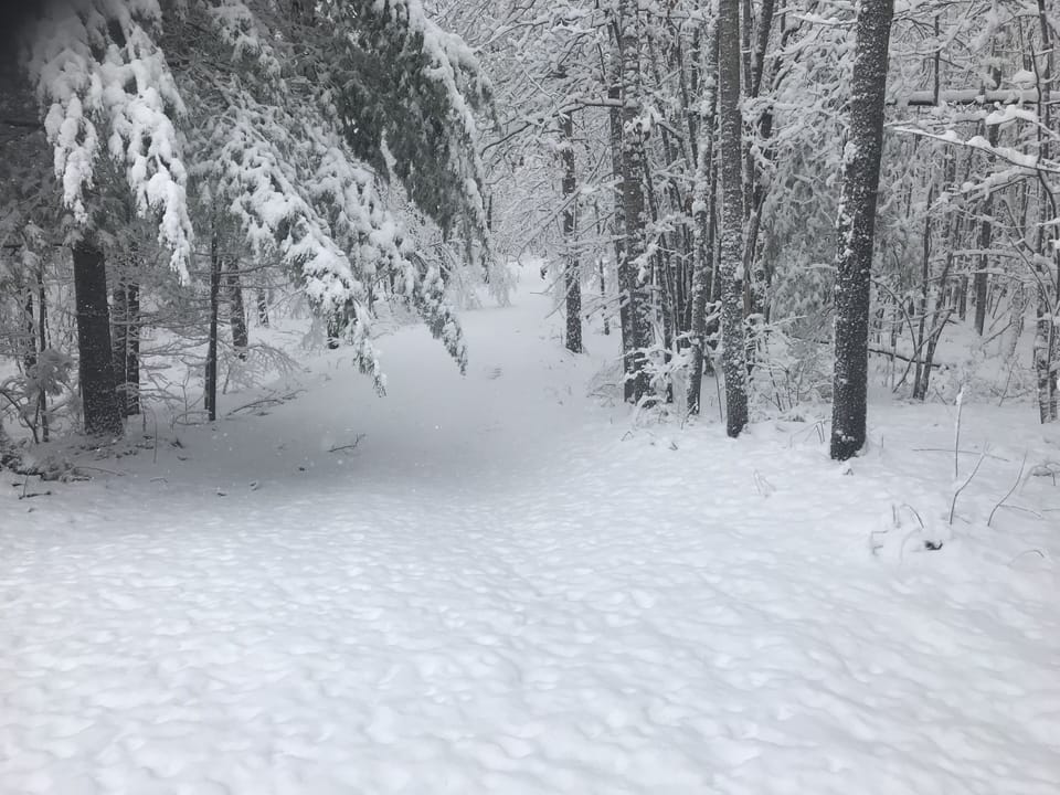 Driveway after a fresh snowfall