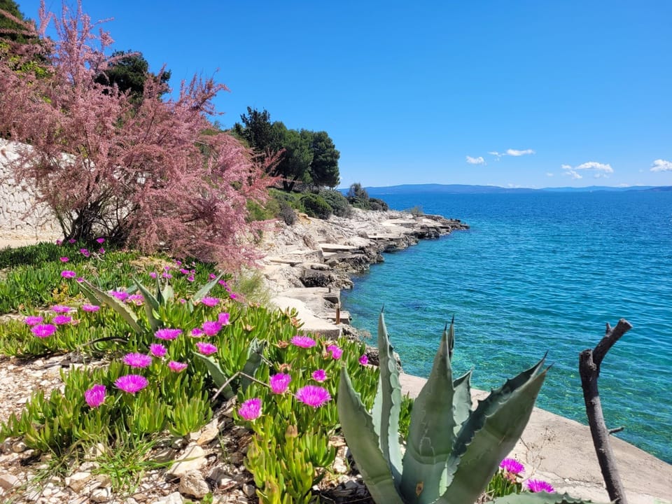 Hiking path on the south side of the island
