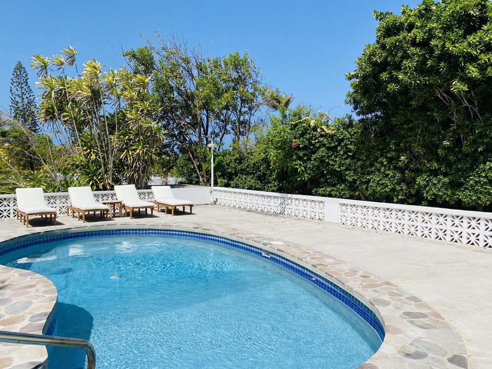 Relax and enjoy the sun or shade in these comfy lounge chairs