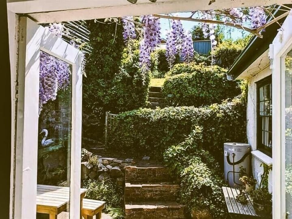 Lovely backyard with out door setting