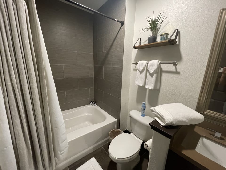 Bathroom 1