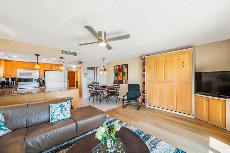 Living room and Murphy bed cabinet
