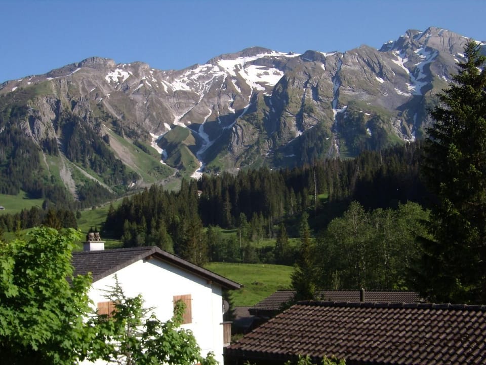 Picture 17