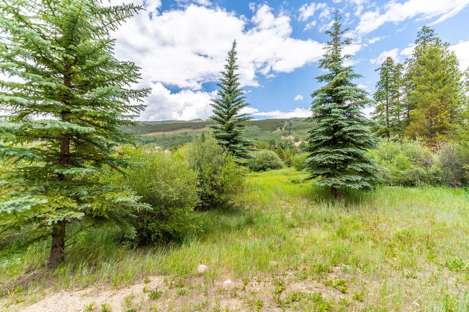 Natural landscape with mature evergreen trees and grassy meadow surrounded by rolling hills.