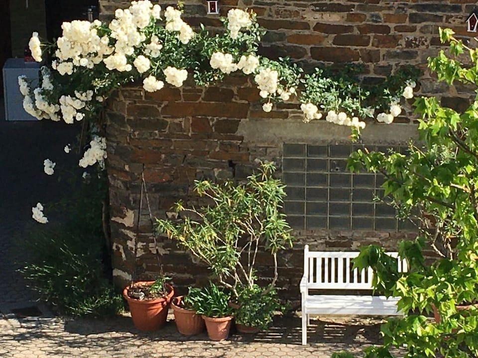 Rabennest vacation apartment - Holiday apartment with roof terrace Apartment in Rhein-Hunsrück-Kreis