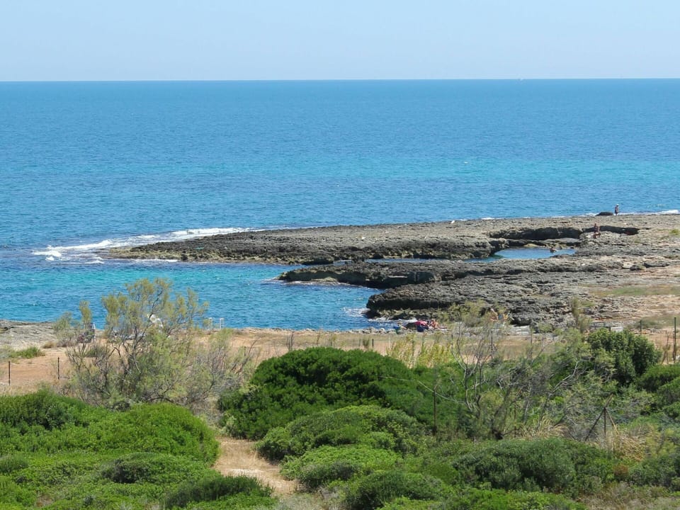 Water, Sky, Plant, Plant Community, Azure, Natural Landscape, Beach, Coastal And Oceanic Landforms, Terrain, Horizon