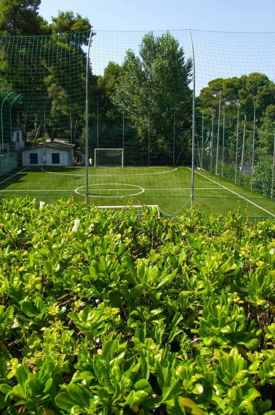 Plant, Property, Sky, Plant Community, Nature, Natural Environment, Tree, Natural Landscape, Street Light, Land Lot