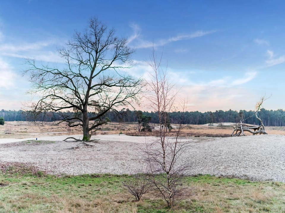 Surroundings [summer] (1-5 km)