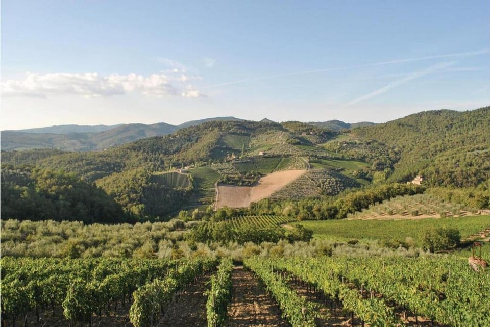 Surroundings [summer] (1-5 km)