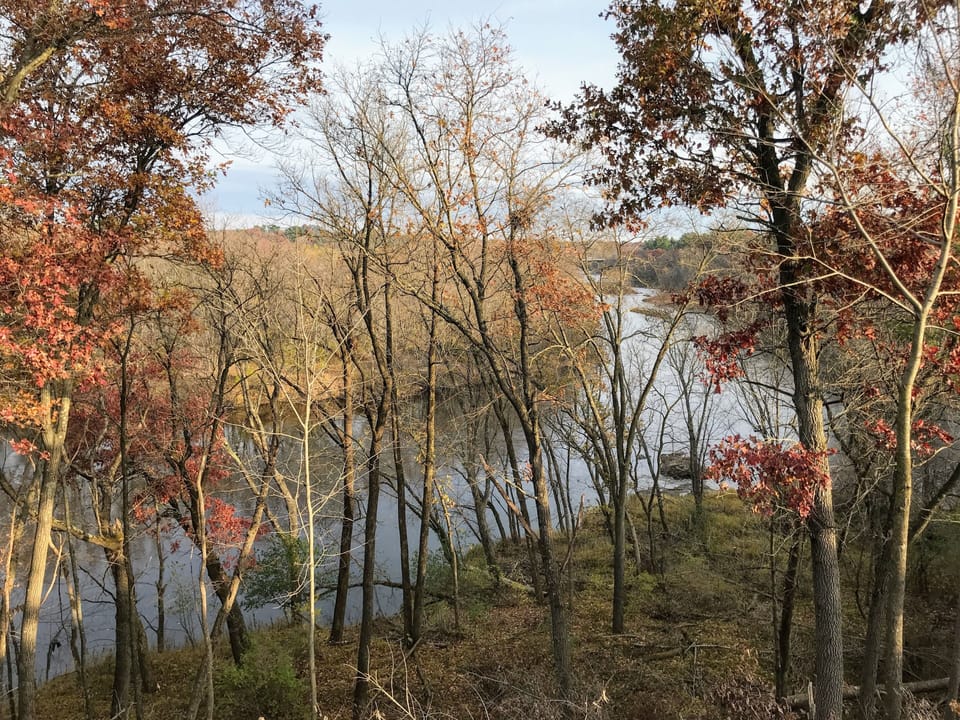 No matter the season, the river provides a wildlife haven and beautiful views.