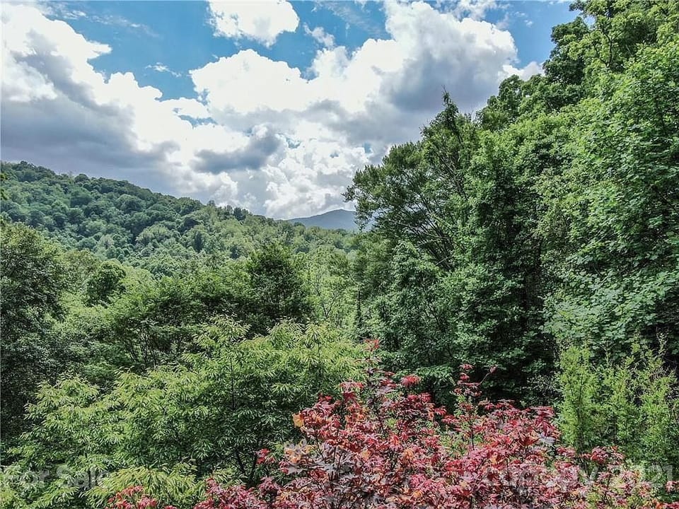 Mountain Views