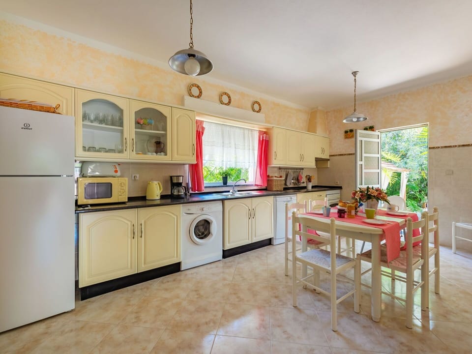 Furniture, Cabinetry, Building, Countertop, Houseplant, Drawer, Chair, Kitchen Stove, Kitchen, Kitchen Appliance
