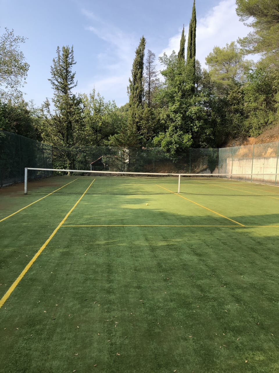Sport court