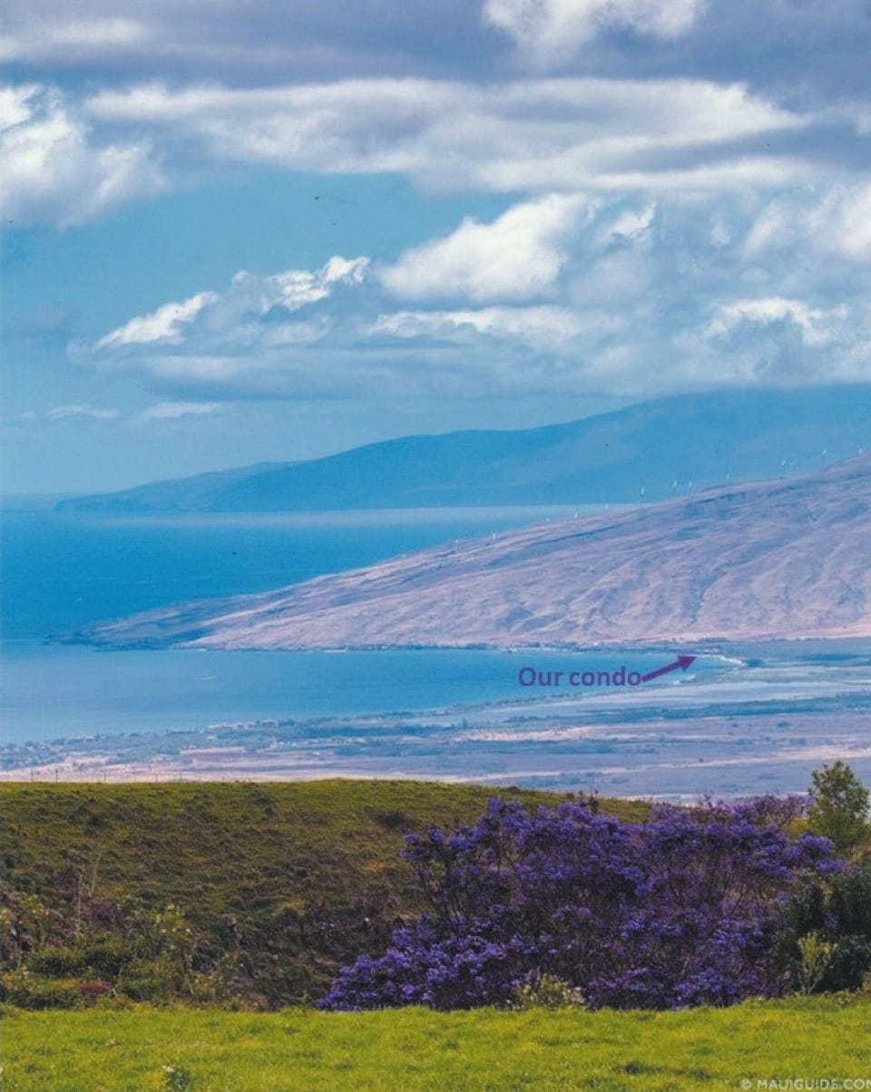 View of Sugar Beach from upcountry.