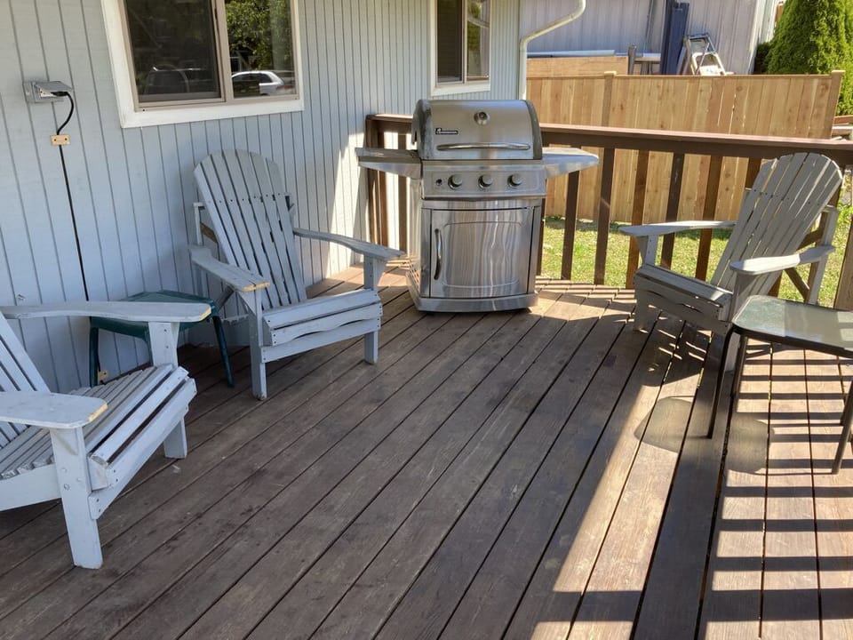 Gas grill