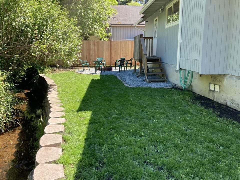 Back yard