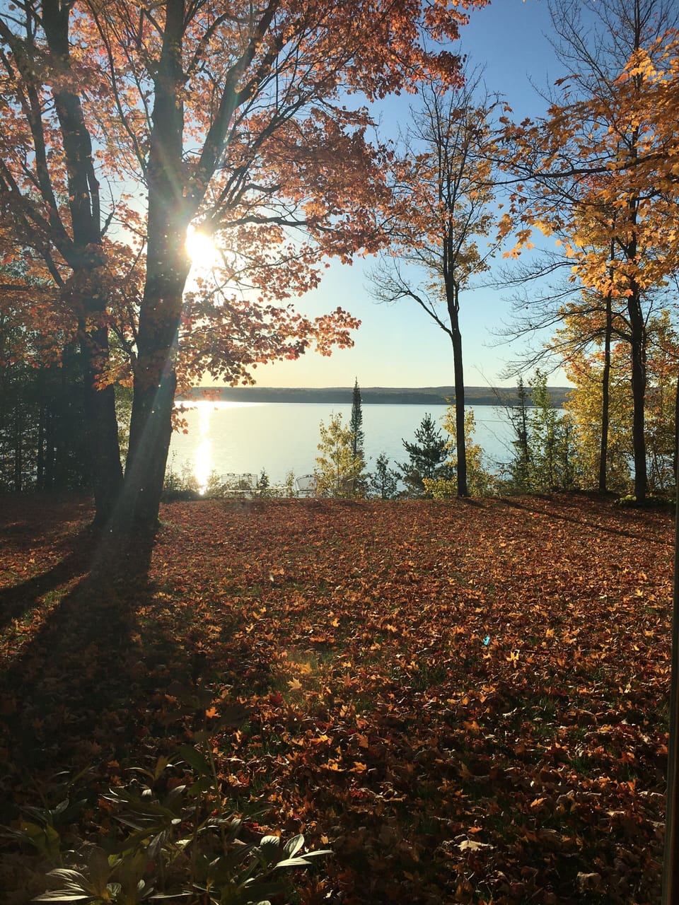 View from property