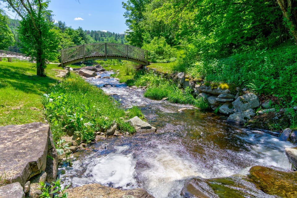 Cold Spring Brook Park is across the street, come visit in the spring for the full bloom experience