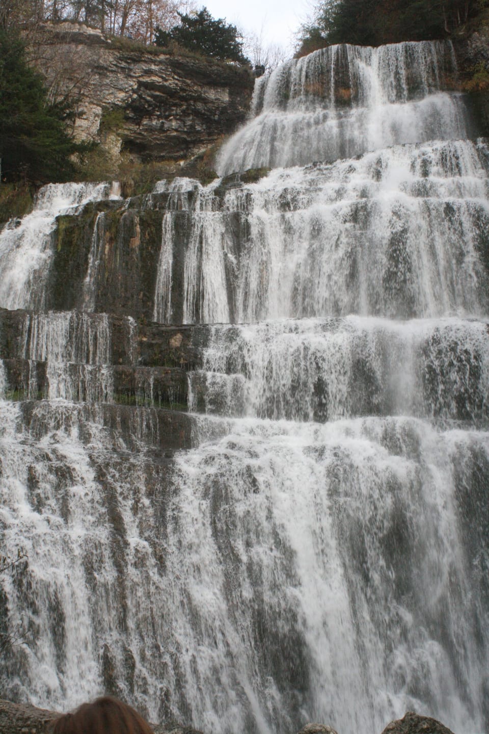 Miscellaneous