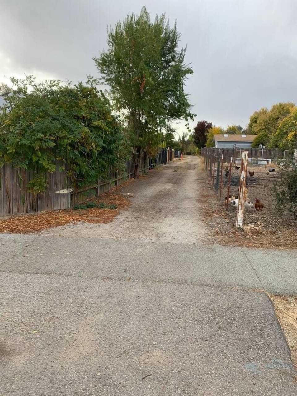 Bordered by a wooden fence and lush greenery, the trail leads toward the main house and surrounding property.