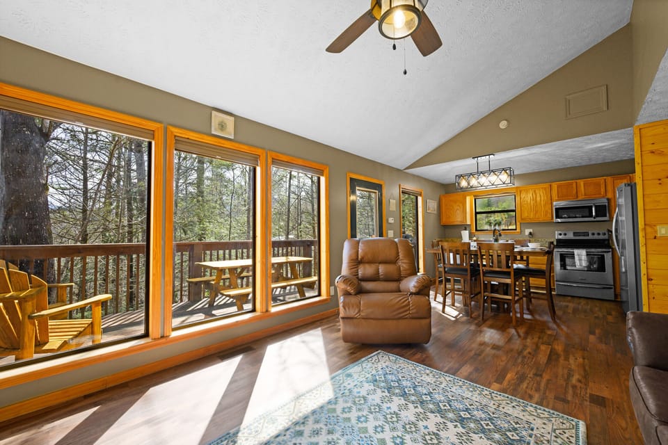 Gorgeous picture windows 