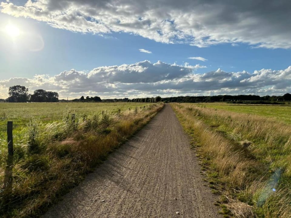 Region [summer] (>5 km)