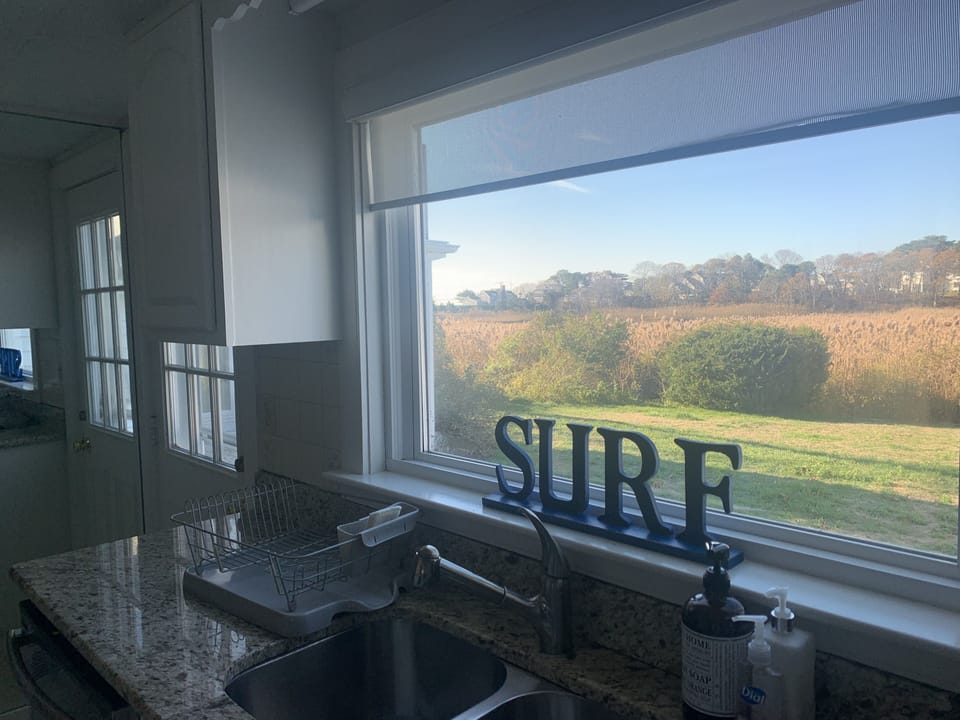 View from the kitchen window