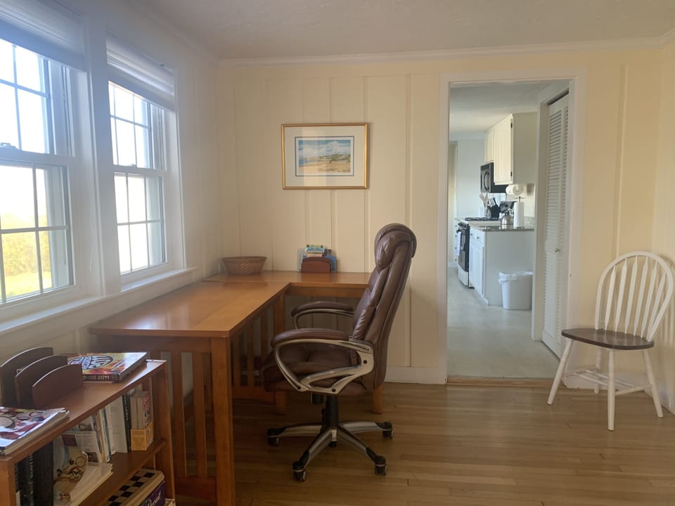 Work from home area with a view