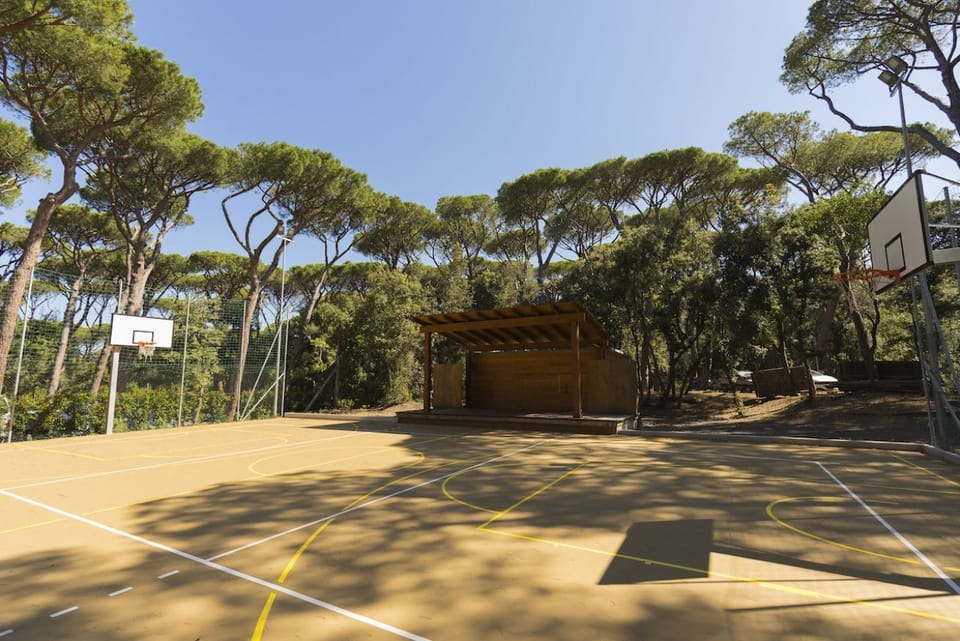 Sport court