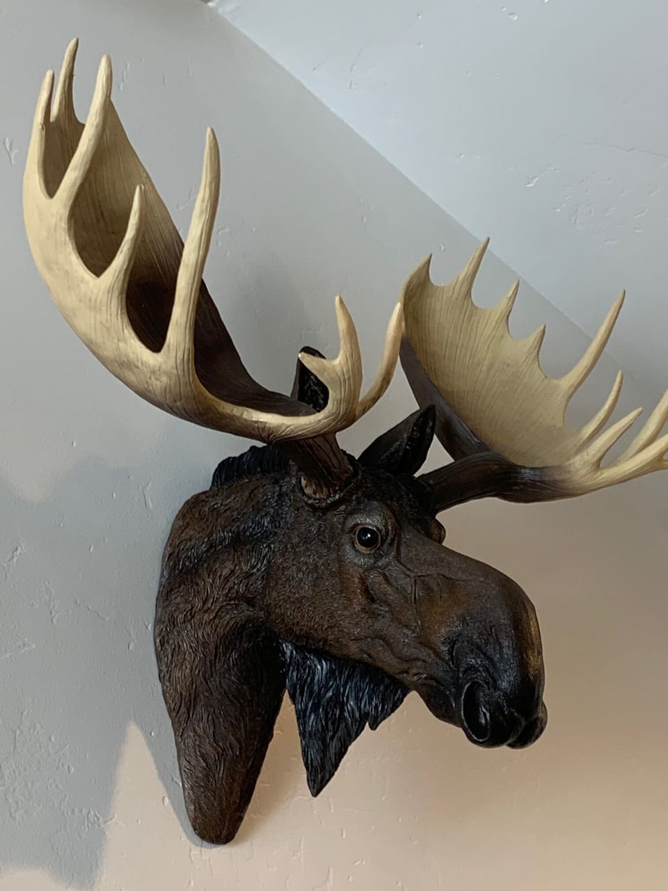 Our spirit animal: Magic Moose