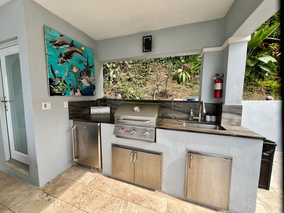 Outdoor Kitchen