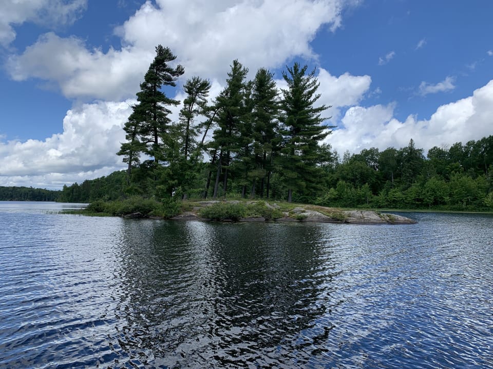 Jacks Lake