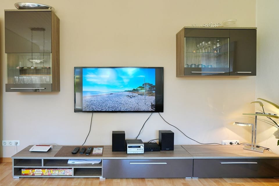 Television