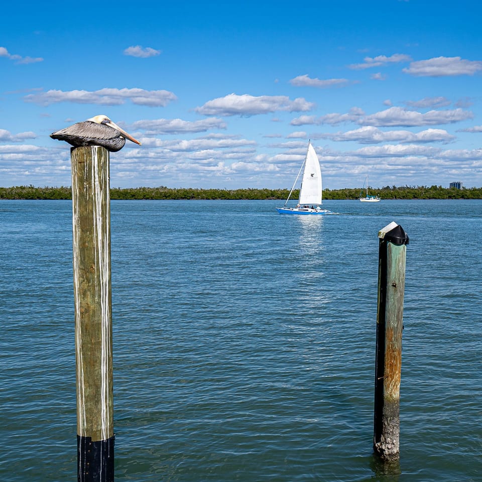 Lake