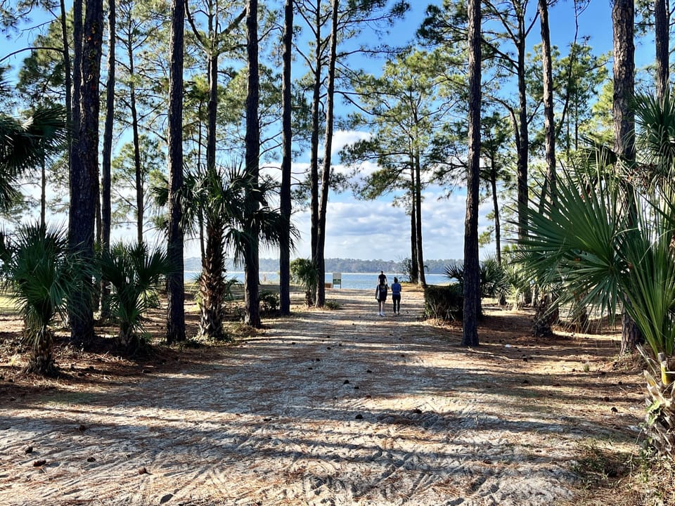 Beach Path to the Calibogue Sound
