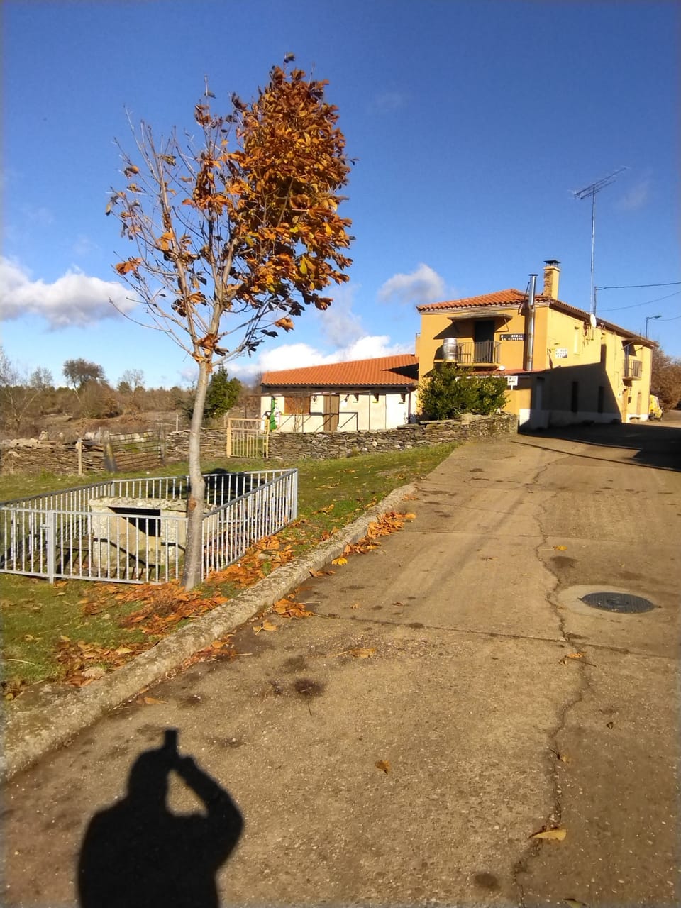 Image 15