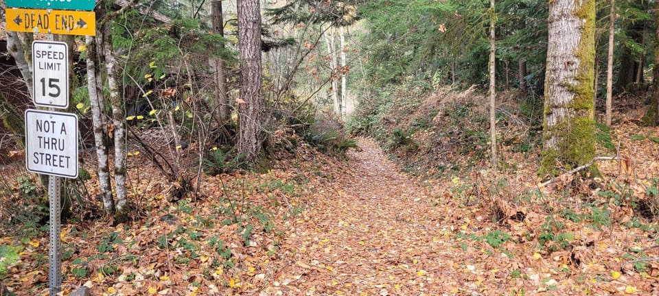 Walking path to river across the street