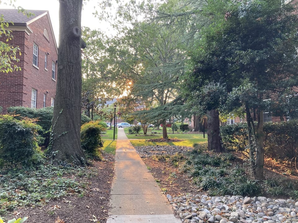 View from building entrance into courtyard.