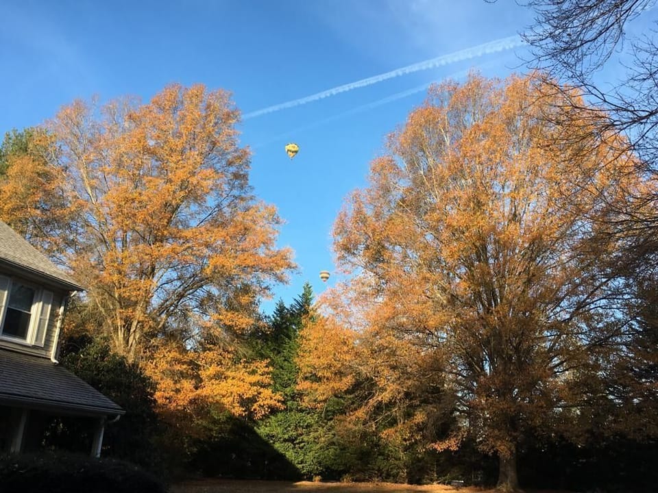 Such amazing colors in the fall!