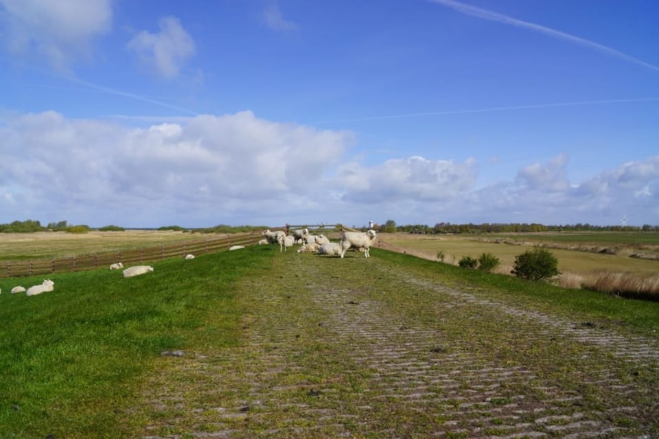 Immediate Surroundings [summer] (<1 km)