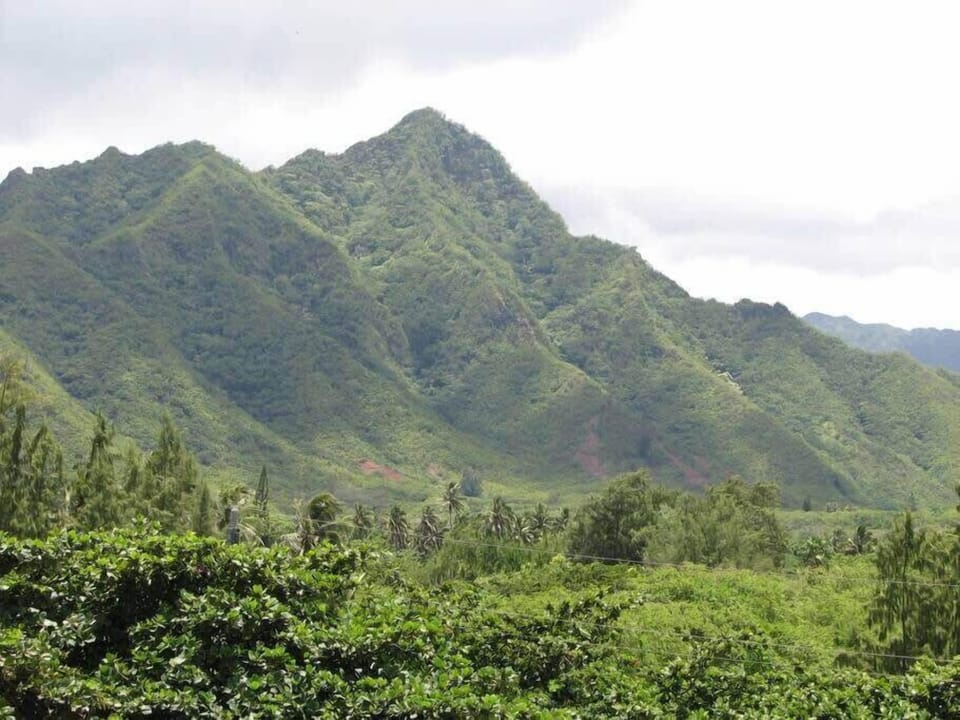 Wonderful views of the mountains opposite of the beach.  This is the view from the walkway to the front door.