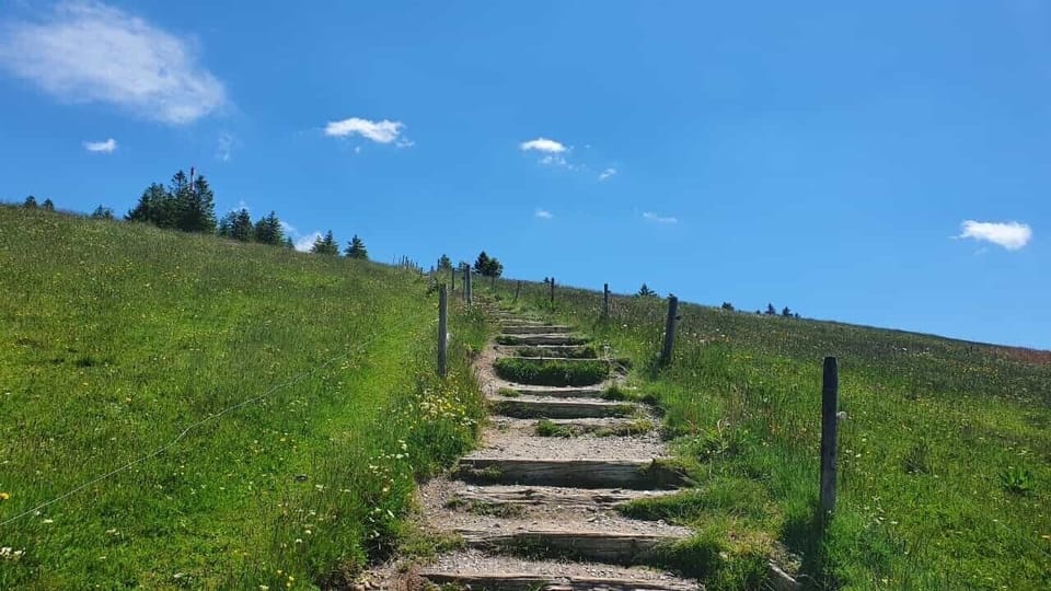 Blackforest Line. Garten. Schwarzwald. Familienurlaub. Tolles Wandergebiet. Apartment in Baden-Württemberg