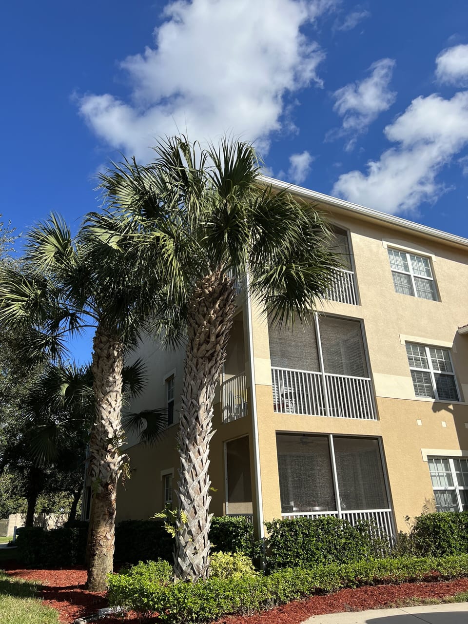 1st floor unit 