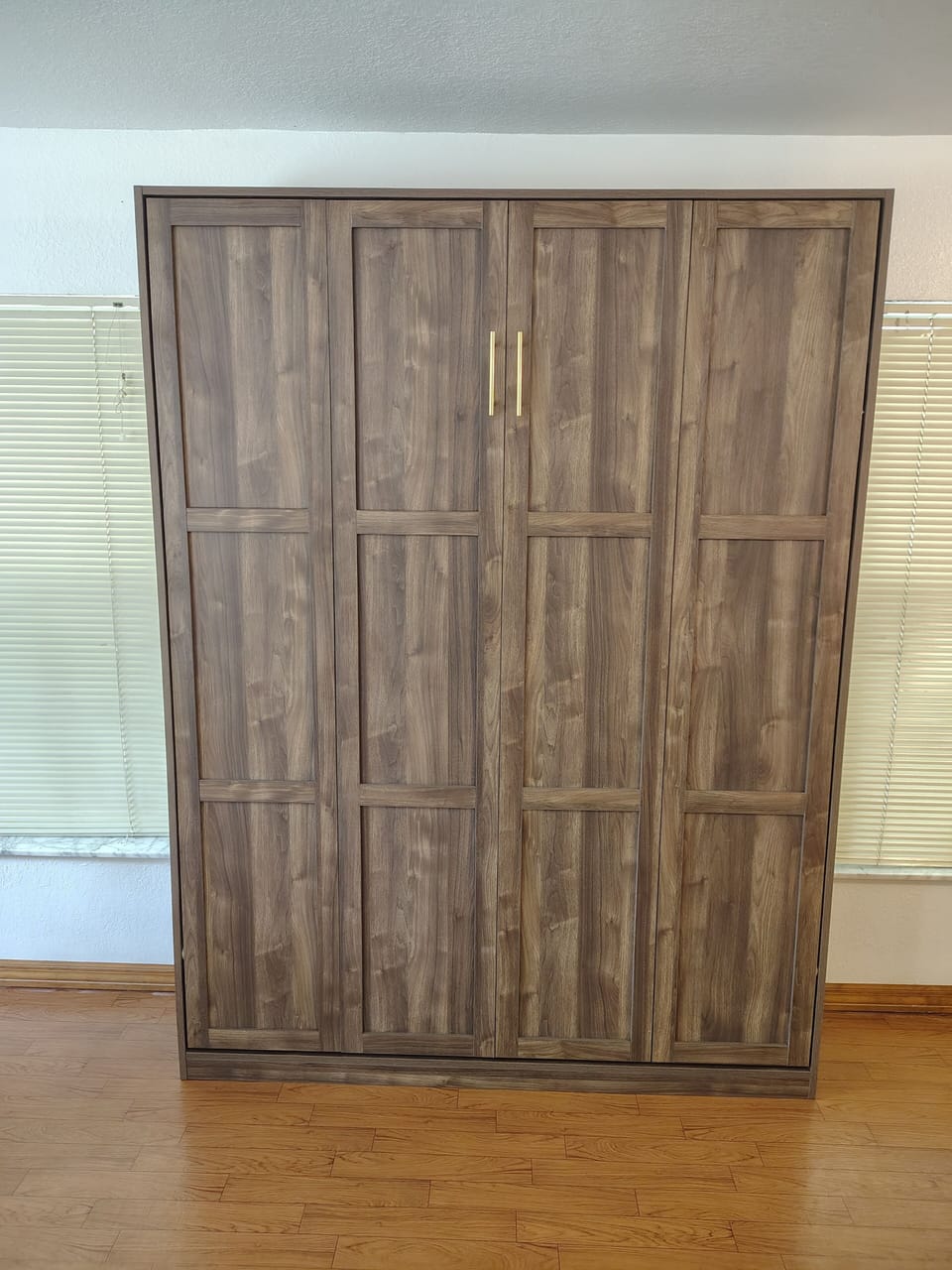 Queen Murphy bed