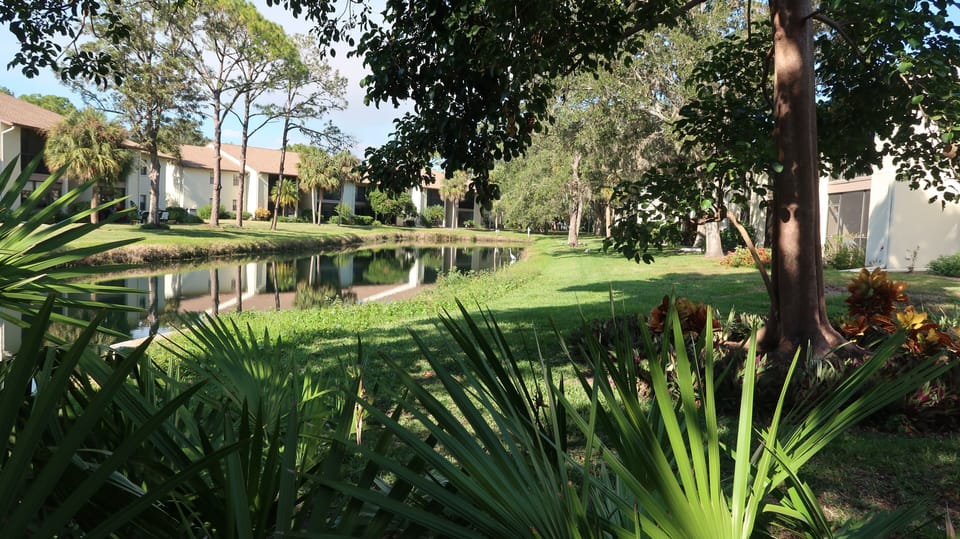 View from the lanai!