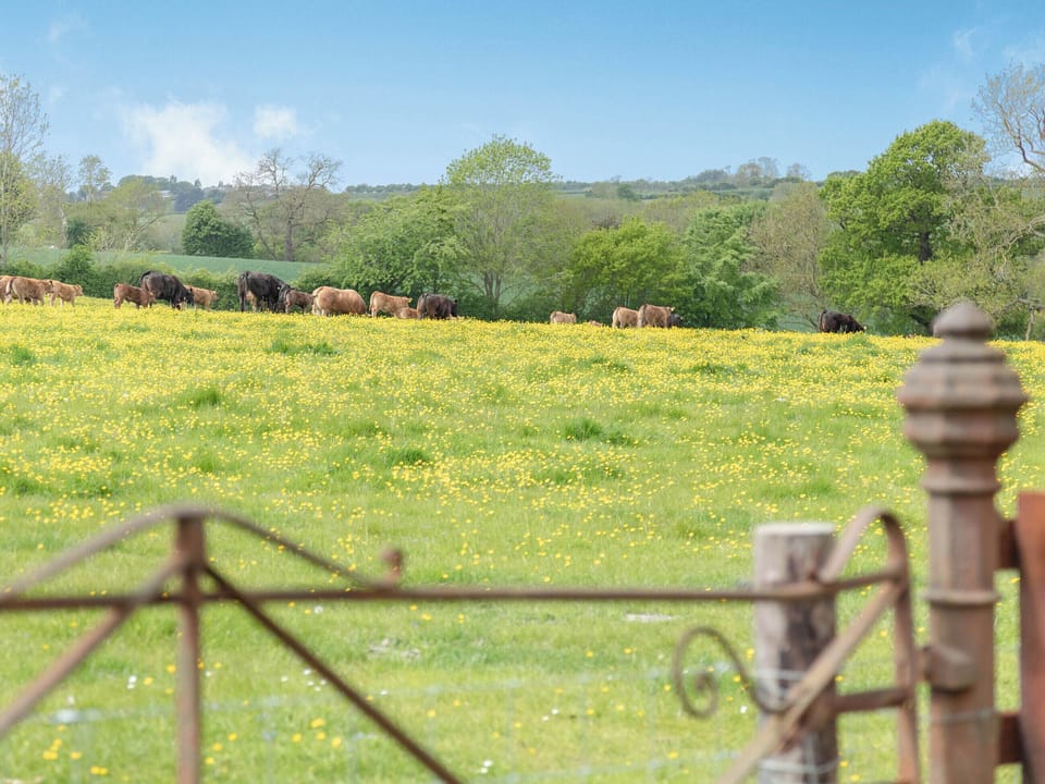 View | The Tack Room - Castle Chase Cottages, Ayston, Nr Uppingham
