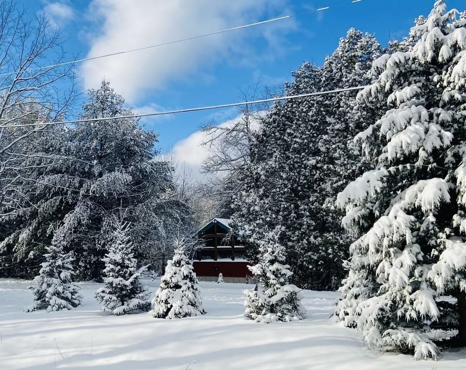view of cabin in the winter