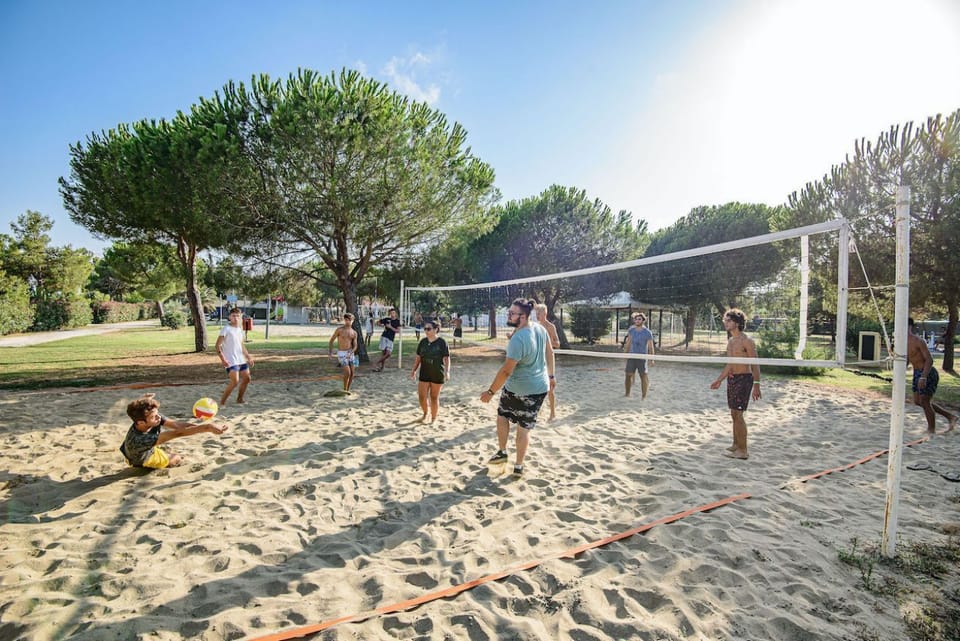 Sport court