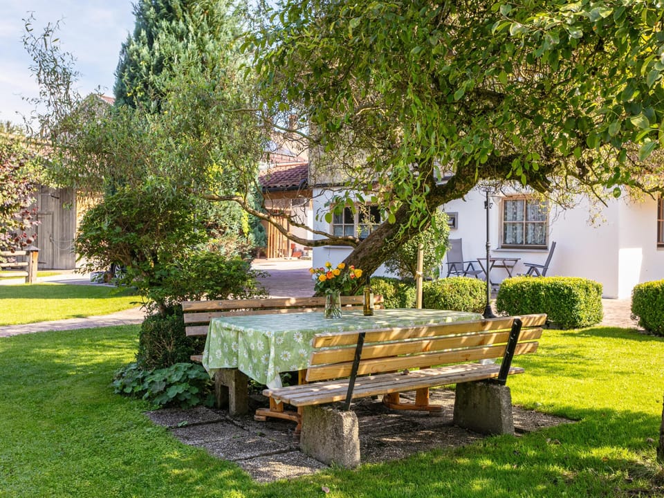 Garden [summer]