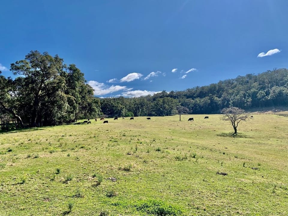 Old Byora is set on a large vineyard and cattle property